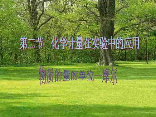 高一化学上学期摩尔 新人教版