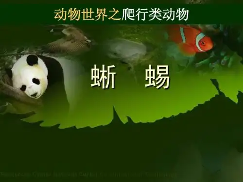 蜥蜴PPT课件