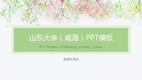 山东大学(威海)专用-清新风格-PPT模板