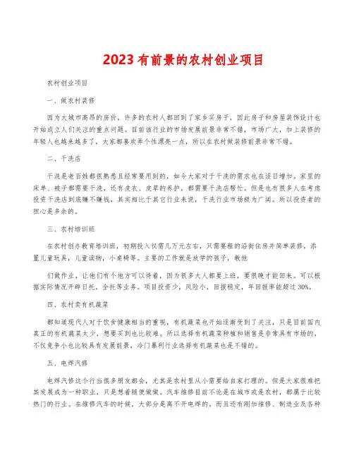 2023有前景的农村创业项目