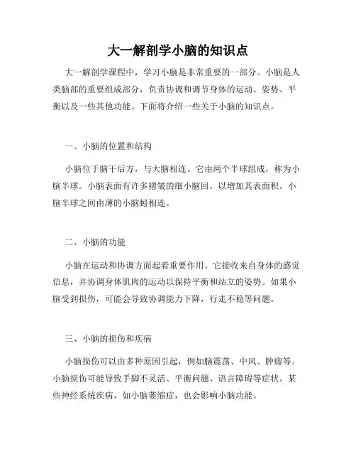 大一解剖学小脑的知识点