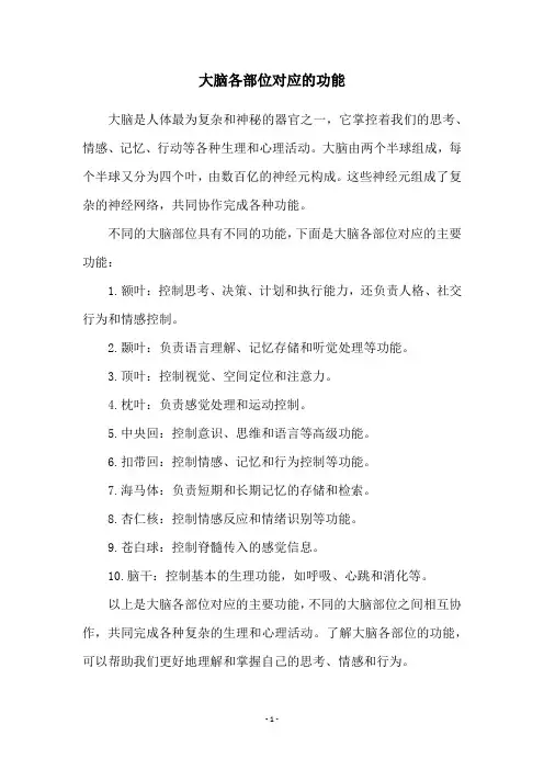 大脑各部位对应的功能