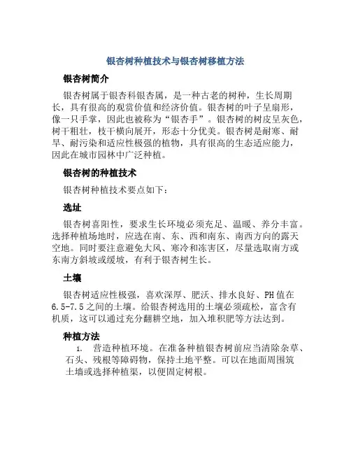 银杏树种植技术与银杏树移植方法