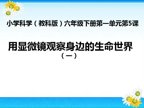 六用显微镜观察身边的生命世界(一)(共27张PPT)