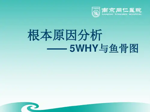 根本原因分析—5WHY与鱼骨图 PPT课件