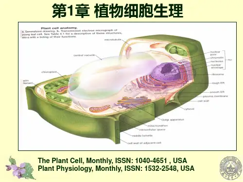 植物生理学 第一章 植物细胞生理