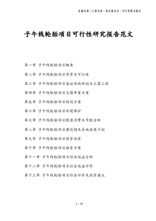 子午线轮胎项目可行性研究报告范文