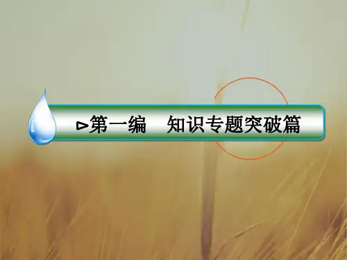 2018届高考语文二轮复习知识专题突破课件专题七 成语运用 绝招21