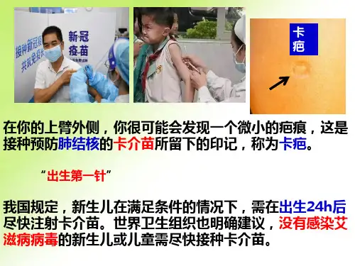 免疫系统的组成和功能ppt课件