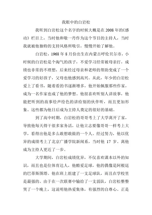 我眼中的白岩松