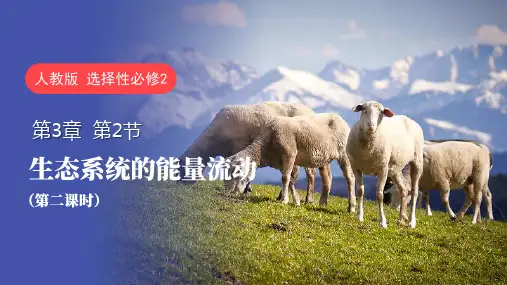 生态系统的能量流动(第二课时)高二生物(人教版2019选择性必修2)