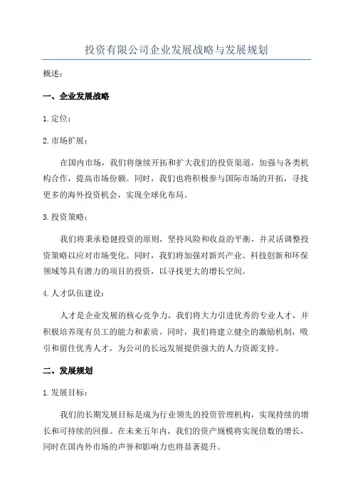 投资有限公司企业发展战略与发展规划