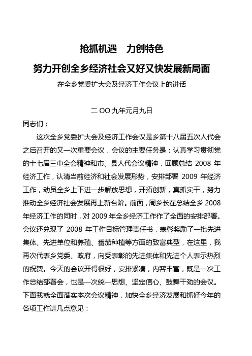 在全乡党委扩大会及经济工作会议上的讲话—
