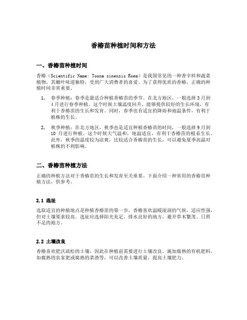 香椿苗种植时间和方法