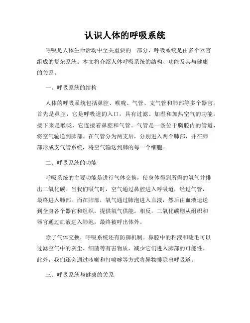 认识人体的呼吸系统