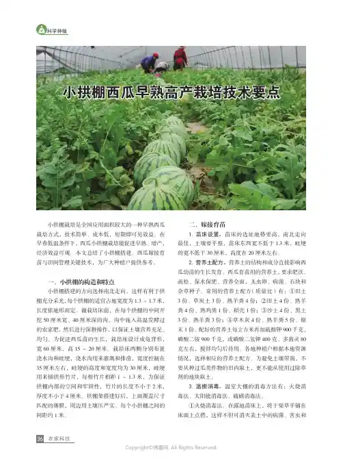 小拱棚西瓜早熟高产栽培技术要点