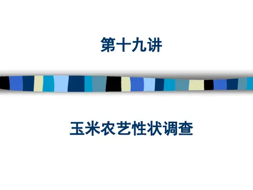 玉米农艺性状调查概述