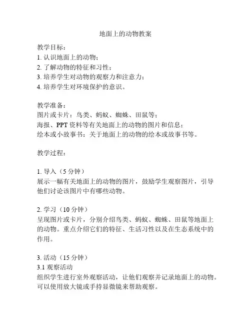 地面上的动物教案