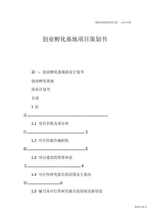 创业孵化基地项目策划书