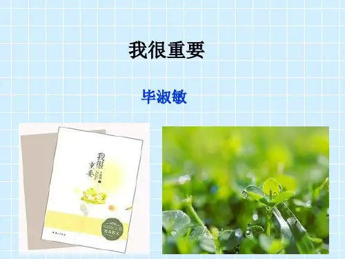 《我很重要》PPT课件--毕淑敏