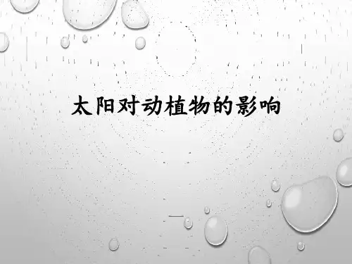 《太阳对动植物的影响》PPT