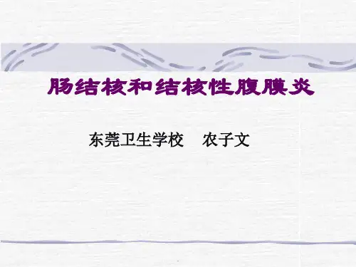 肠结核、结核性腹膜炎PPT课件