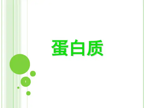 营养学基础蛋白质