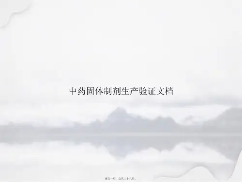 中药固体制剂生产验证文档讲课文档