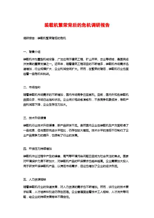 装载机繁荣背后的危机调研报告 (2)