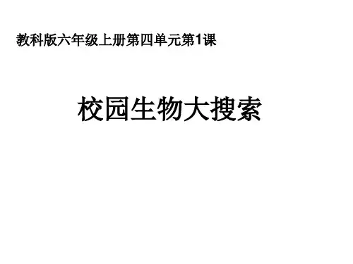 教科版六年级科学上册校园生物大搜索ppt课件
