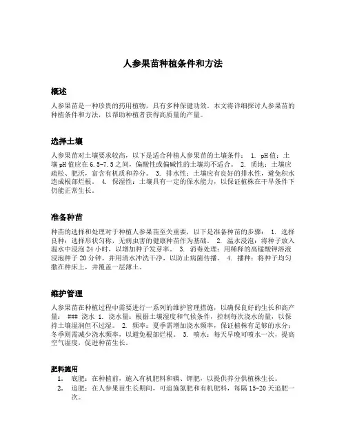 人参果苗种植条件和方法