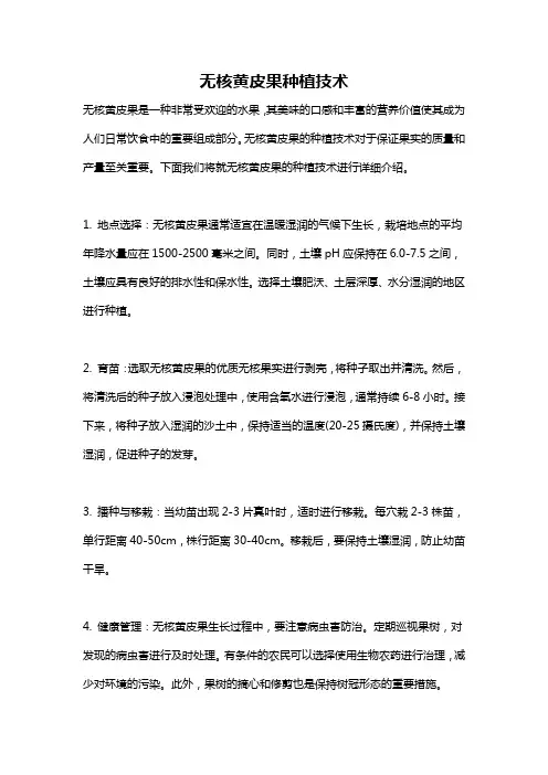 无核黄皮果种植技术