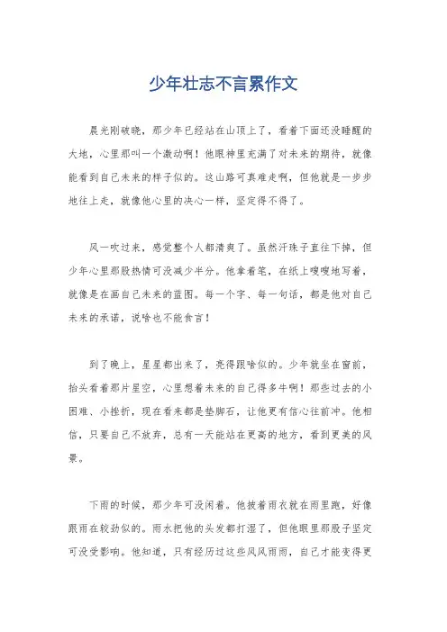 少年壮志不言累作文
