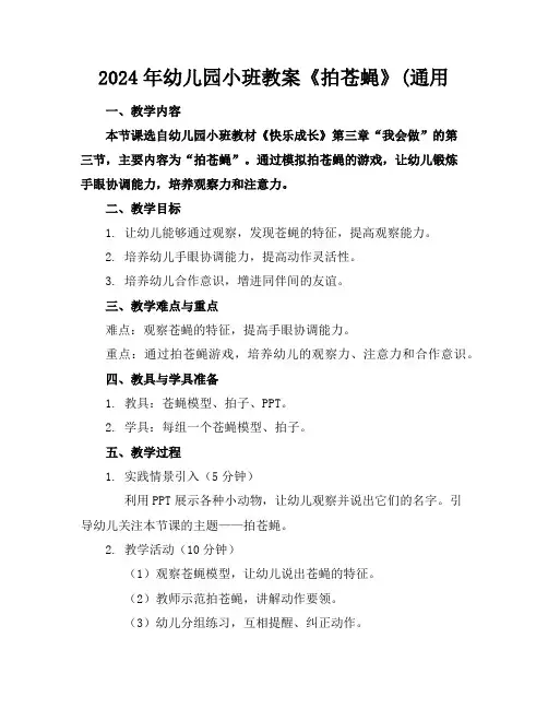 2024年幼儿园小班教案《拍苍蝇》(通用