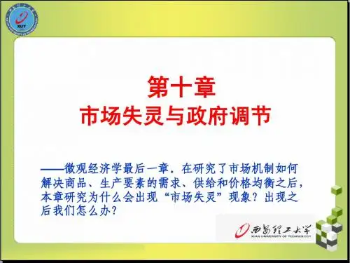 第10章 市场失灵与政府调节