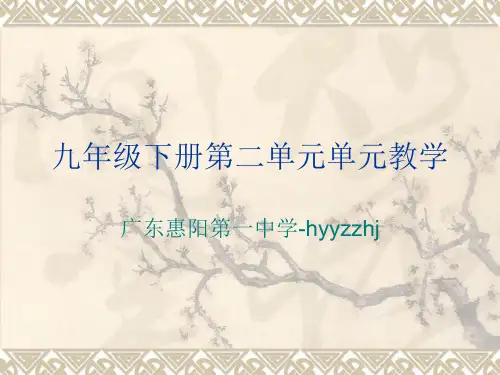 九年级下册第二单元单元教学PPT 人教版 (共36张PPT)
