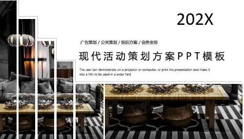 营销策划PPT3