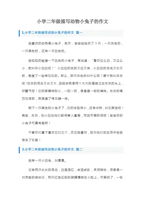 小学二年级描写动物小兔子的作文