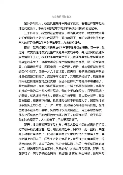 拾麦穗的回忆散文