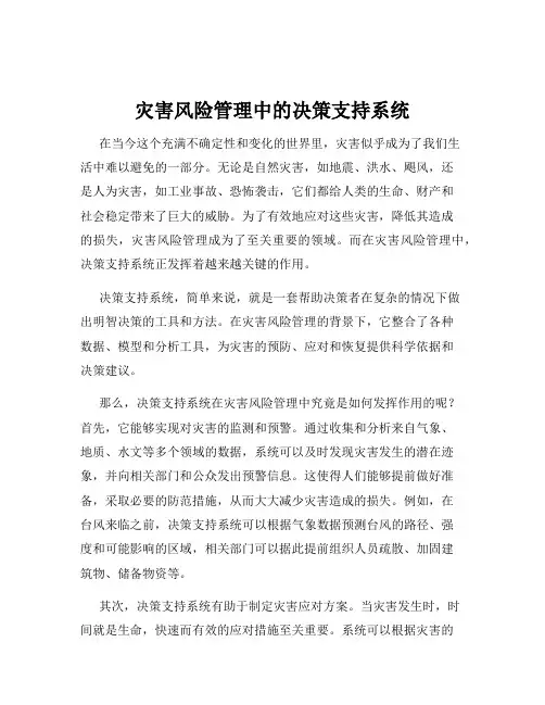 灾害风险管理中的决策支持系统