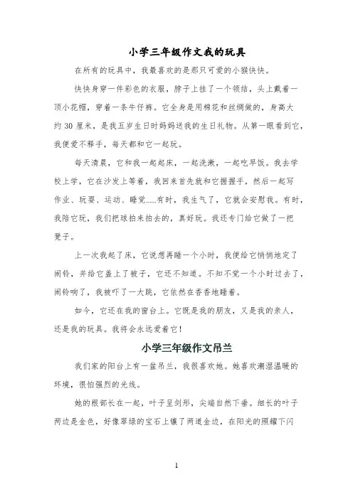 小学三年级作文我的玩具