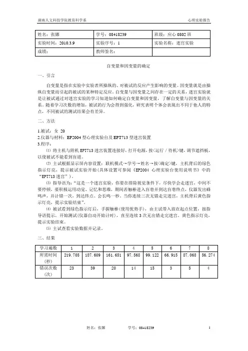 迷宫实验
