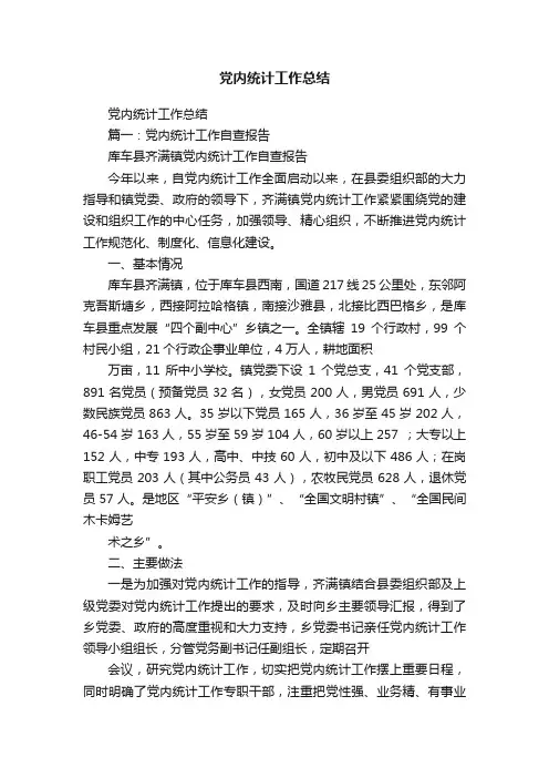 党内统计工作总结