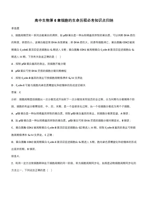 高中生物第6章细胞的生命历程必考知识点归纳(带答案)