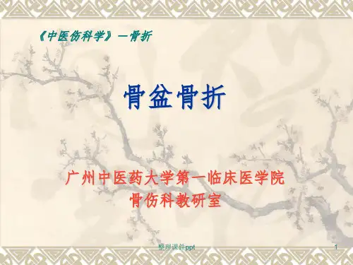 《骨盆骨折课件》PPT课件