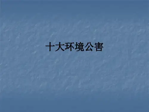 十大环境公害PPT课件