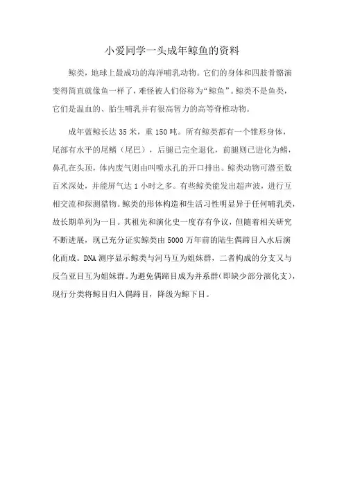 小爱同学一头成年鲸鱼的资料