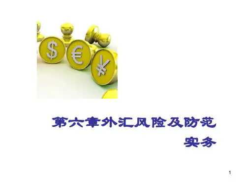 第六章外汇风险及防范实务《国际金融实务》PPT课件