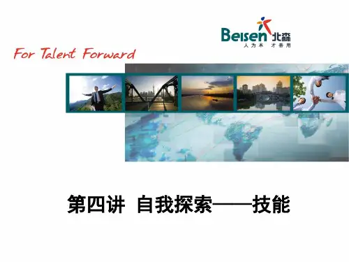 (4)自我探索--技能