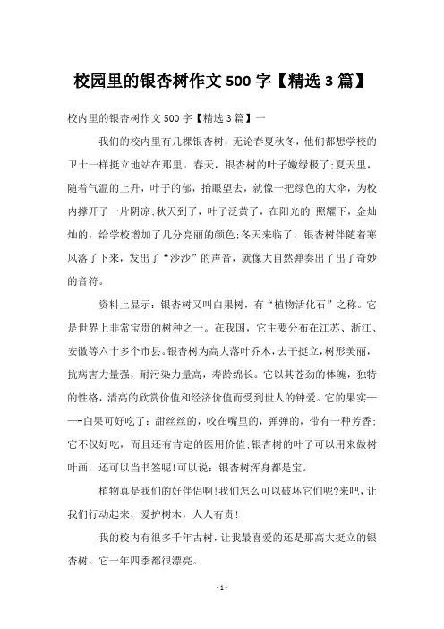 校园里的银杏树作文500字【精选3篇】